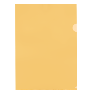 Treeline Orange Presentation Folder (Open 2 Side)                    